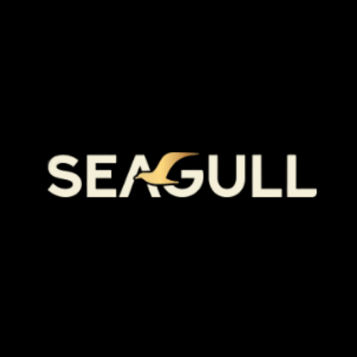 Seagull Advisors - Manoj Ayyagari - Social Media Manager